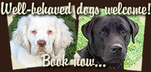 Dogs are welcome to come glamping - they can stay in family tents