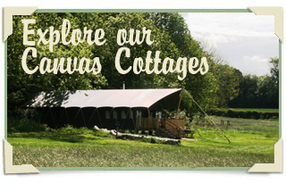 Explore our family glamping tents
