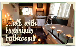 Our tents all have ensuite bathrooms with roll-top baths!